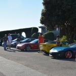 Cambria_0452 (November 01, 2013)